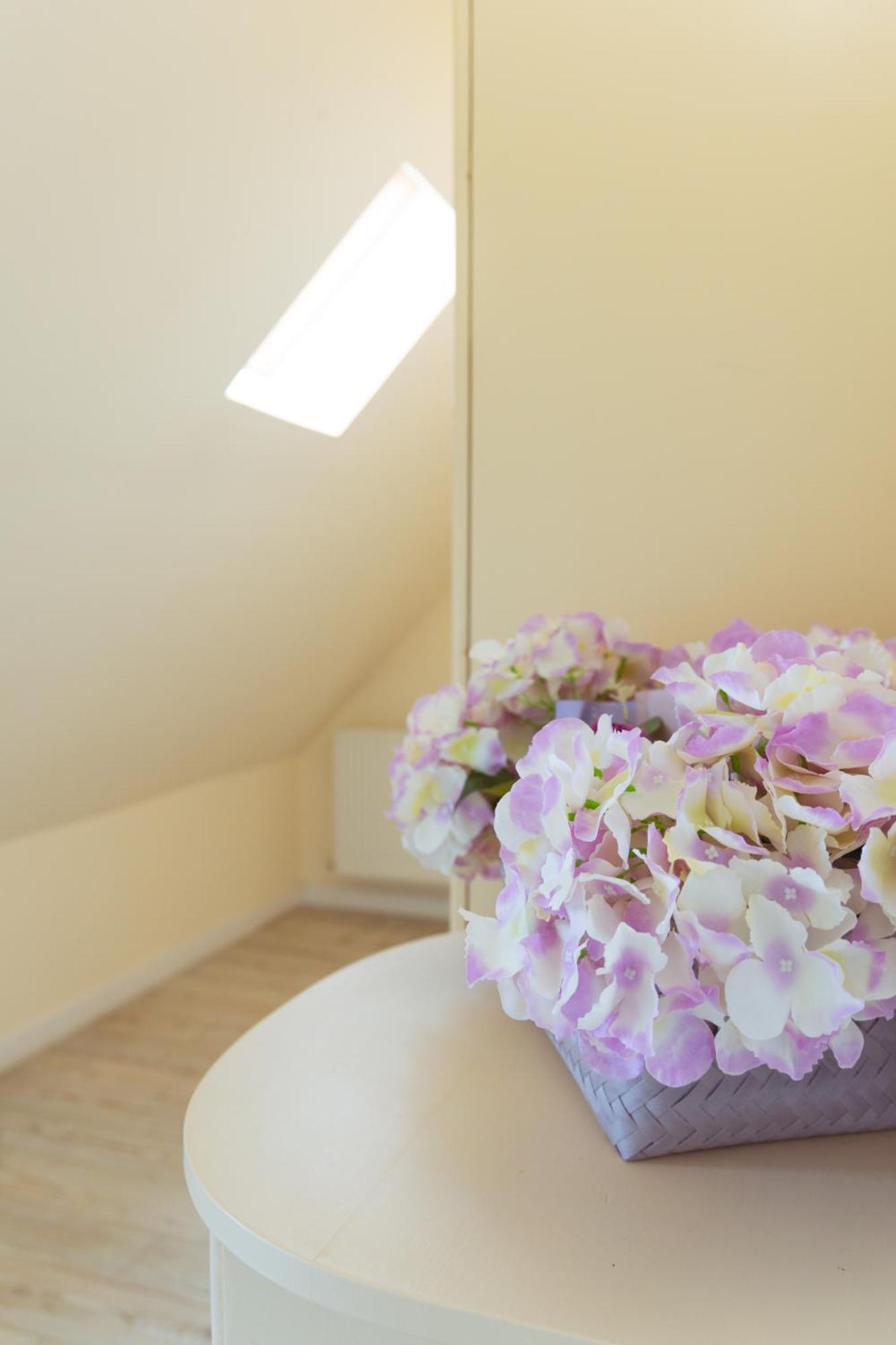 Green Garden Avrig Ngoại thất bức ảnh