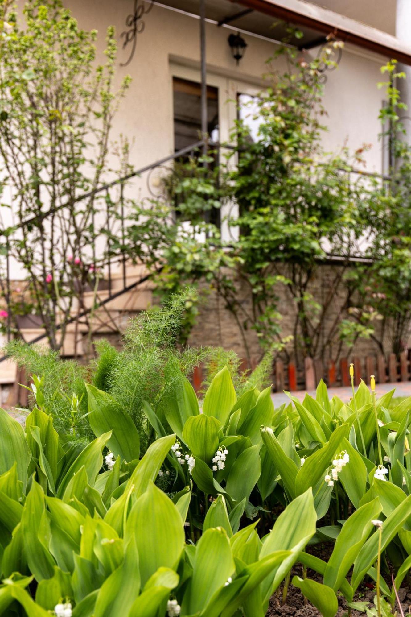 Green Garden Avrig Ngoại thất bức ảnh