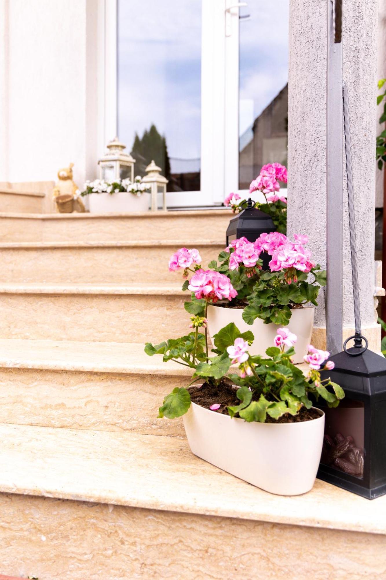 Green Garden Avrig Ngoại thất bức ảnh