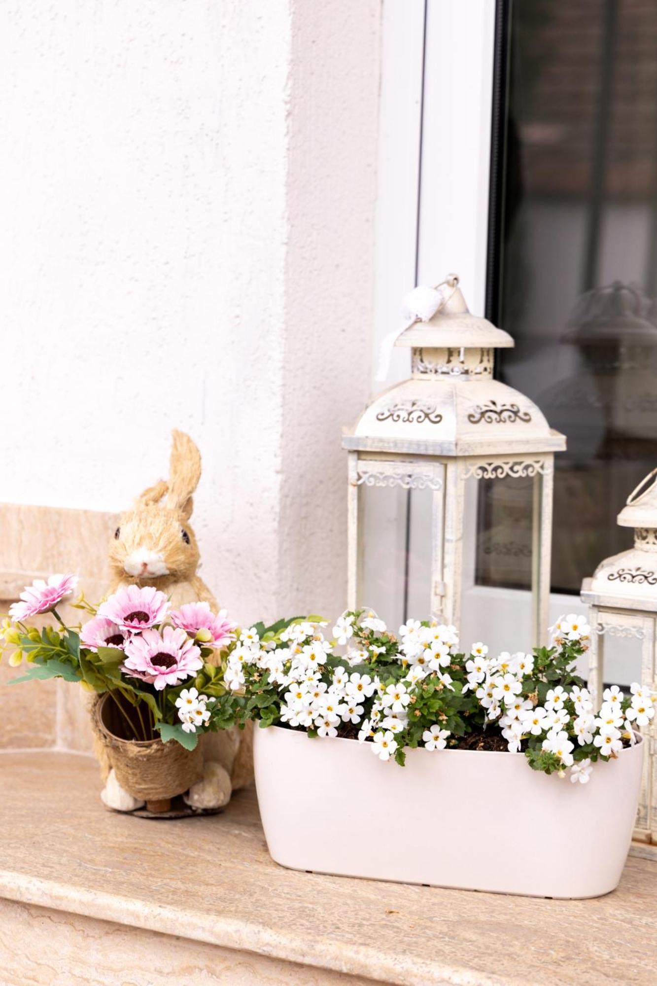 Green Garden Avrig Ngoại thất bức ảnh